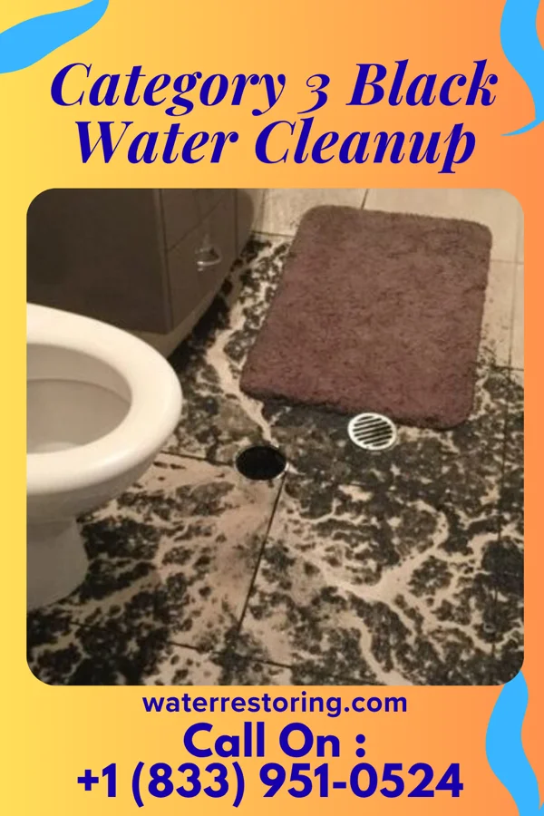 Category 3 Black Water Cleanup in Athol, ID