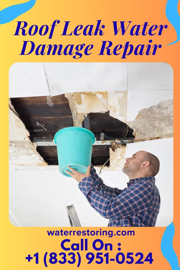 Roof Leak Water Damage Repair in Athol, ID
